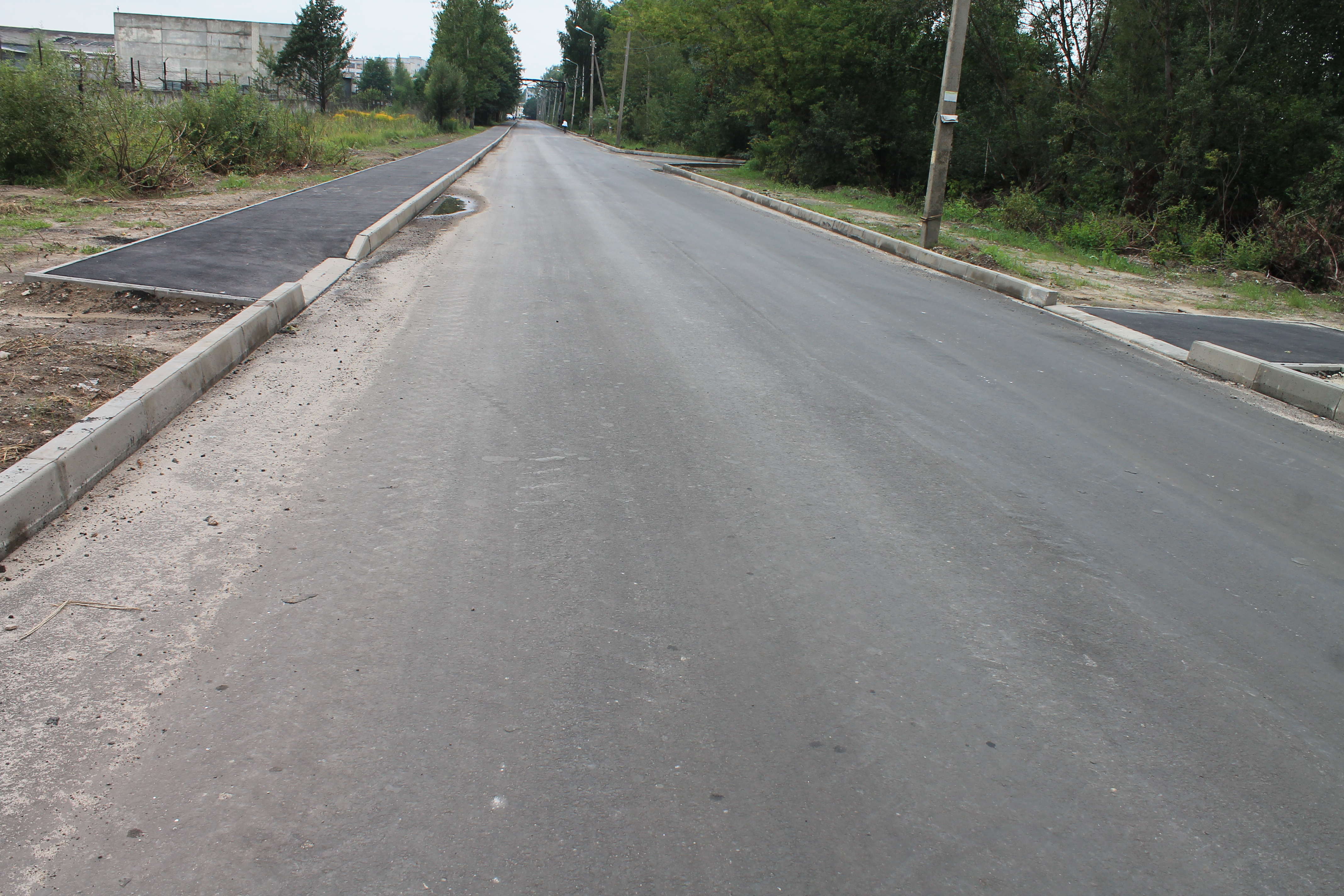 Активисты ОНФ осмотрели дороги Брянска, внесенные в план ремонта на текущий год