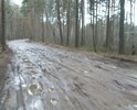 Грунтовая дорога в ужасном состоянии. Машинам не проехать - проваливаются в грязь.