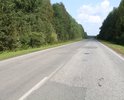 Автомобильная дорога от Подгорного до трассы Колпашево-Томск протяженностью около 50км. находится в очень плохом состоянии.
