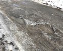 ремонтировали пару лет назад и растаяла дорога еще в прошлом году со снегом