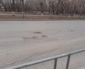 По ул. Севастопольской весной 2019 года образовалось много ям разного размера. Водителям приходится постоянно объезжать их.