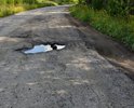 Дорога в СНТ "Автодорожник" в плохом состоянии.