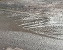 Вот такие реки , во дворе Бакалинская 68/3 уже неделю ходить не возможно ,  ноги все мокрые ! Хоть резиновые сапоги одевай . Сколько можно  ???