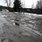 Приморское городское поселение