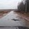 сельское поселение Село Ильинское сельское поселение Село Ильинское