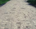 Дорога нуждается в ремонте!