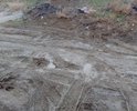 Добрый день! Обращаемся к Вам по поводу отсутствия дороги на наших улицах. Дело в том, что на них абсолютно отсутствует какое либо дорожное покрытие. В результате, все жители наших улиц: Черниговская и 1-го Мая, пгт. Приморский, г. Феодосия, в осенний, зимний и весенний период (дождей и холодов) просто утопают в грязи. На наших улицах проживают старики, которые ежедневно преодолевают до 2 километров туда и обратно к ближайшему магазину, дети, которым не то что негде играть, порой за пределы дворов выйти не возможно. А ведь им каждое утро еще и в школу нужно ходить. Представьте в каком виде ребенок приходит в школу? Данная ситуация еще усугубляется тем, что начиная от дома 24 по улице Черниговская и до пересечения с улицей 1-го Мая, примерно 300 метров, на улице полностью отсутствует освещение. По вечерам в кромешной тьме, мы возвращаемся с работы по колено в грязи. В бесчисленных ямах и колдобинах владельцы автомобилей разбивают подвеску на своих авто, ремонт которых стоит нам не малых денег. Мы регулярно своими силами подсыпаем на дорогу щебень, но он бесследно утопает в грязи. В добавок ко всему, по улицам: Черниговской и 1-го Мая, периодически ездит тяжелая техника: самосвалы, трактора, а порой фуры и автобусы. После них проехать и летом становится невозможно. Люди вынуждены ходить по остаткам насыпи от железной дороги, но из-за отсутствия освещения и обилия глубоких ям мы рискуем переломать ноги. Летом насыпь обрастает травой с острыми колючками и шипами и ее никто не убирает.
В связи с выше изложенным просим Вас помочь нам достучаться до властей города, чтобы они приняли меры для приведения наших улиц в надлежащее состояние. В настоящий момент мы собираем подписи жителей наших улиц для обращения к Главе МКУ «Приморская поселковая администрация 
Администрации города Феодосии Республики Крым» Шевченко И.А.