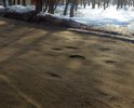 постоянно разбитая дорога. ежегодные ямочные ремонты только усугубляют ситуацию. каждой весной дорога опять "таит"