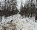 Часть дороги заасфальтировали, установили фонари несколько лет назад (эта часть дороги есть на карте), а вторая часть, которая даже не отображается на картах, так и осталась темной разбитой грунтовой дорогой с громадными ямами и ухабами, хотя является единственным подъездом к жилым домам. В непогоду по этой дороге просто невозможно проехать, ни проживающим там людям, ни скорой помощи (машину оставляют на Носовихинском шоссе и с врачами приходится "договариваться" о пешей прогулке по грязному месиву дороги, а если человека надо госпитализировать(?!)). В зимнее время, конечно, легче, ямы засыпает снегом, дорогу чистят трактором, но все это до первой оттепели. И это в самом центре нашей страны, в 10 км от Москвы...