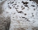Отвратительные дороги и проезды в Новой Трехгорке. Уже пришли в негодность ходовые системы автомобилей, не могут ходить с колясками мамы, инвалидные коляски не могут проехать по такому безобразию. Администрация города Одинцово наплевала на наши вопли и стоны, мы (советы домов) неоднократно к нему приезжали и просили-упрашивали. Пора уже навести порядок на дорогах и проездах нашей бедной Новой Трехгорки!