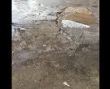 Ремонта во дворе не было с момента постройки дома... сплошные ямы!!! Управляющая компания ничего не хочет делать с этим!!!!