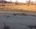 При повороте с Арнестовского круга на бульвар мира невозможно сразу повернуть на правую полосу, нужно совершать маневр через левую полосу, что уже нарушает правила ПДД (из-за состояния покрытия)