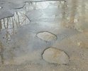прошлогодний ремонт не прошел проверку зимой