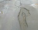 прошлогодний ремонт не прошел проверку зимой