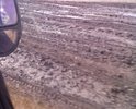Добрый день!!!!Хочу показать какой ужас творится на участке дороги "Поздеевка-Ивановка" Амурской области. Обратите внимание, это единственное сообщение между  более 10 населенных пунктов, другой путь если только полем:)))!Пришла весна и наша дорога плывет в прямом смысле слова.Ремонт не проводился наверное более 10 лет (работу грейдеров я не считаю). С каждым годом дорога все больше и больше утопает, если дождливое лето - то все ни одна машина не пройдет!!!!Пожалуйста, обратите внимание и примите действия! Спасибо!!!!