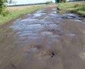 Данный участок дороги разбит полностью. По данной дороге невозможно ездить. Администрация района бездействует. По данному участку дороги возят учеников, школьный автобус совершает 5 рейсов в день.