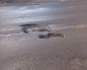 Разбитая дорога. Многочисленные ямы различных размеров, в том числе крупные.