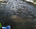 По этой улице проходит автобусный маршрут, пешеходных зон нет, приходится с детьми передвигаться по грязным обочинам. Ремонта данной улицы не было большое количество времени.