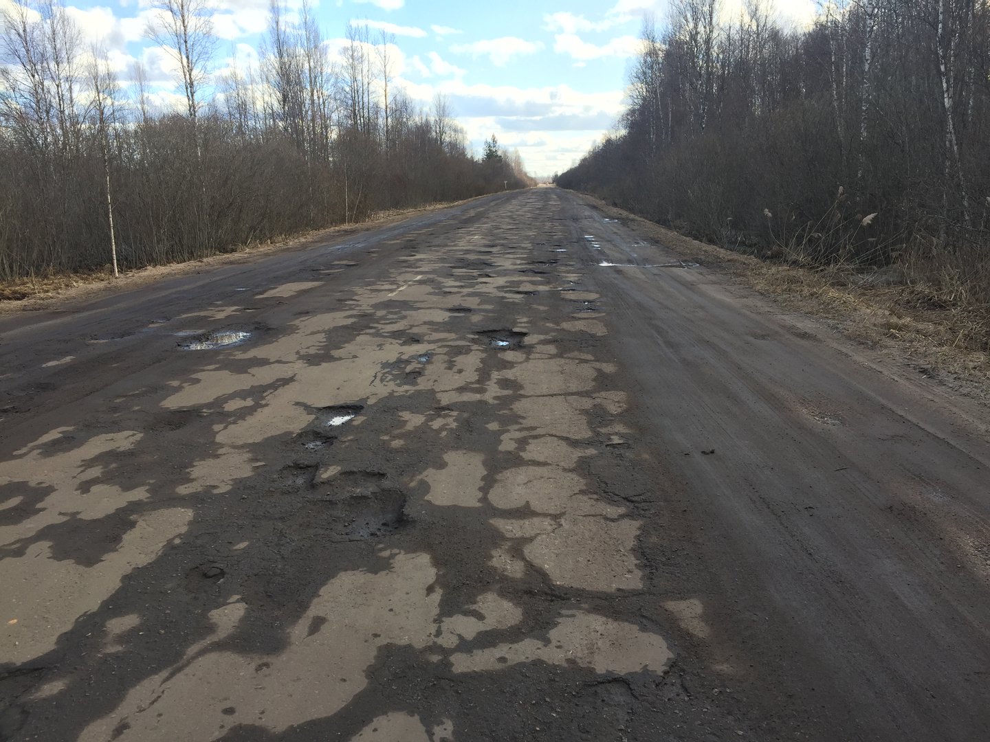 Старая трасса. Дорога Старая Русса Поддорье холм. Дорога Поддорье холм. Дороги Новгородской области.