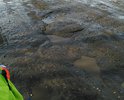 По этой улице проходит автобусный маршрут, пешеходных зон нет, приходится с детьми передвигаться по грязным обочинам. Ремонта данной улицы не было большое количество времени.