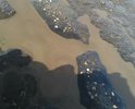 По этой улице проходит автобусный маршрут, пешеходных зон нет, приходится с детьми передвигаться по грязным обочинам. Ремонта данной улицы не было большое количество времени.
