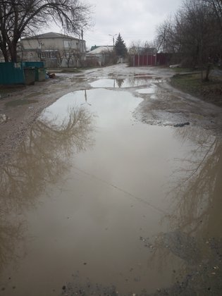 None, Лесная улица