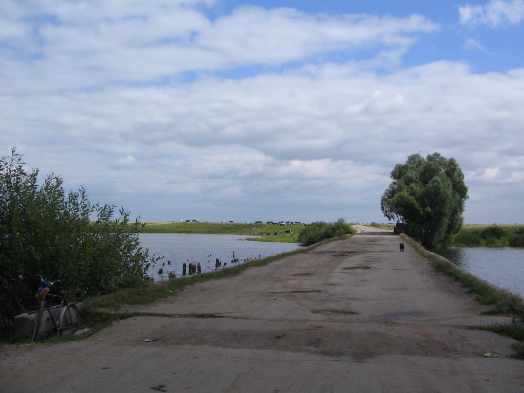 Озеро Ижевское Рязанской. Село Ижевское Рязанской губернии. Рязанская область село Санское.