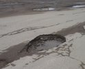 Вся улица в таких ямах,,, возле автовокзала как будто бомбежка была