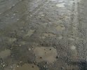 Тут проходит автобусный маршрут, дороги нет, пешеходных зон не наблюдается.
