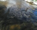 Тут проходит автобусный маршрут, дороги нет, пешеходных зон не наблюдается.