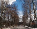 Фуры и другие грузовые автомобили (принадлежат близлежащим заводам) постоянно разбивают эту дорогу. В сущности, от дороги одно лишь направление.