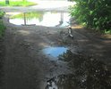 г.Орехово-Зуево, вдоль ул.Барышникова (от пожарной части до пр-да Барышникова) нет пешеходной дороги. Около Пожарной части всегда огромная лужа и грязь, пройти не возможно!Так же нет дороги на торце дома ул. Барышникова д.9. Ходить негде!