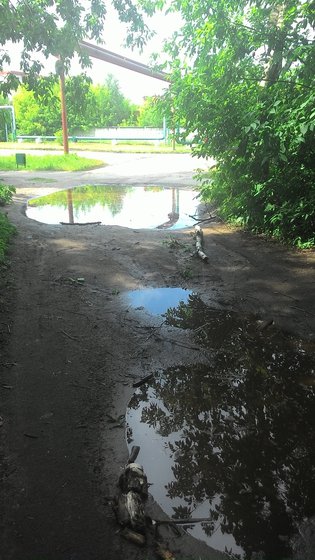 None, Пролетарская улица