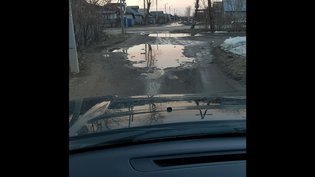 None, улица Шишкина