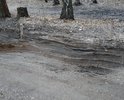 Здравствуйте ! Помогите решить проблему по грунтовой дороге г.Балашиха мкр Салтыковка ул.Лесные Поляны от 9 до д.19 длинна 276 метров .Администрация не Хочет решать данный вопрос ,пишу на сайт Добродел с 2015 года года,ответ один -на 19-20 гг ответы КОЗЫРЕВА как по ранее заготовленному шаблону.Стоят знаки 3.2 с двух сторон ,транзитный транспорт едет без остановки,отдел ГиБДД старается из всех сил нам помогать,ограничивая движение ,так как рядом школа на 350 детей !!!! .Управление транспорта и дорог г.Балашиха даже выезжать на место не хотят,имею имею много отписок, где официально отвечают что проводили профилирование и укладку щебнем.ЭТО  ПОЛНАЯ ЛОЖЬ !!! Бурцев О.Н.  так же отписался на 20 год.
Кругом строят мосты и развязки ,а на 276 метров материалов НЕТ !!! Получается всем жителям не ходить в магазин,детям не ходить в школу ,ЛЮДЯМ просто не ЖИТЬ до 20 года . Губернатор сам лично приезжал к нам после попытки вырубки нашей березовой рощи застройщиком МОРТОН ,дал обещание что тут будет ПАРК ,дорога ,тропинки и т.д.-поставили только три лавочки ,три урны и то для распития алкоголя на свежем воздухе. Если ВЫ нам не поможете, то ни кто нам не поможет!!!Помогите !!!!
