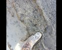 Просим Вас помочь в решении проблемы. Несколько лет назад в селе Ям городского округа
Домодедово, положили асфальт на всех улицах, кроме короткого отрезка дороги у домов №№ 1 и 3а, по улице 2я Зеленовка. Обращения в местную сельскую администрацию, к сожалению не привели ни к
каким результатам.
В доме № 3а проживает пенсионер Зейтагов Грачик Гарегинович, врач, ветеран труда, созидатель, стараниями которого появилась Белостолбовская амбулатория и санаторий-профилакторий "Маяк", награжденный медалью ВДНХ, бывший гордостью Московской области и объектом посещения иностранных делегаций.  Зейтагов Г.Г. возглавлял эти учреждения, а так же несколько лет был главным врачем больницы ЦРБ "Заря
Подмосковья" и депутатом поселкового совета.
Зейтагов Г.Г. недавно стал инвалидом 1 группы, прикреплен к Подольскому диализному центру, посещает процедуру 3 раза в неделю, в ночную смену с 24.00 до 5.00. Машина скорой помощи, забирающая пациентов,  летом в плохую погоду с большим трудом проезжает к дому.
Пройти пешком вообще невозможно, кругом одна грязь.
Пожалуйста, помогите исправить ситуацию с подъездом к этим домам, ведь средства на
строительство дороги были выделены, а работа не доведена до конца. В 2016 году администрация уверяла что включит в план ремонта на 2017 года,а уже в этом году отписываются на 2022 год!!
С глубоким уважением, жители улицы 2я Зеленовка