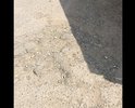 Дорога в ужасном состоянии