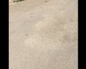 Асфальта не было ни когда