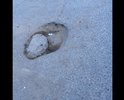 Ужасный участок , все время латают, первый дождь и все , весь кривой