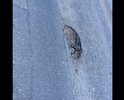 Весь в латках которые отлетают при первом дожде, латка на латке
