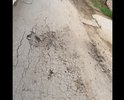 Тот случай когда фото говорит само по себе