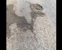 Ужасная дорога , продолжение