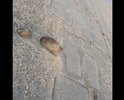 Ужас да и только , латки ямы полный комплект