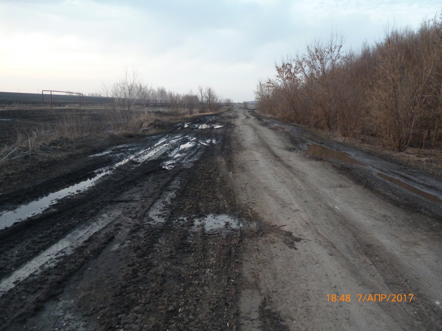 Погода саратовская область турковский. Село Рязанка Турковский район Саратовская область. Село Рязанка Турковский район. С студенка Турковского района Саратовской области. Саратовская область Турковский район село студенка.