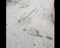 Дорога в ужасном состоянии