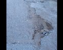 Дорога не соответсвует  нормативам, в ямах трещинах