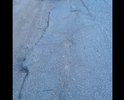 Дорога не соответсвует  нормативам, в ямах трещинах