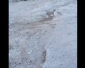 Из серии асфальт нам только сниться, плюс ужасное состояние