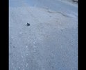 Не возможно передать состояние этой дороги , нету ливневок , тротуаров, не подделку школа , дети ходят по ужасной дороге, во время дождей эту улицу топит как в Венеции , дети в школу не могут попасть , просто кошмар , одна эта улица может стать поводом к революции