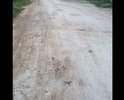 Из серии асфальт нам только сниться, обратите внимание на люк по середине улицы, думаю это какое то ноу хау от каспийских дорожников, надеюсь они раскроют свою тайну позже